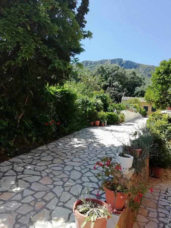 Marilena Studios And Apartments Paleokastritsa Luaran gambar